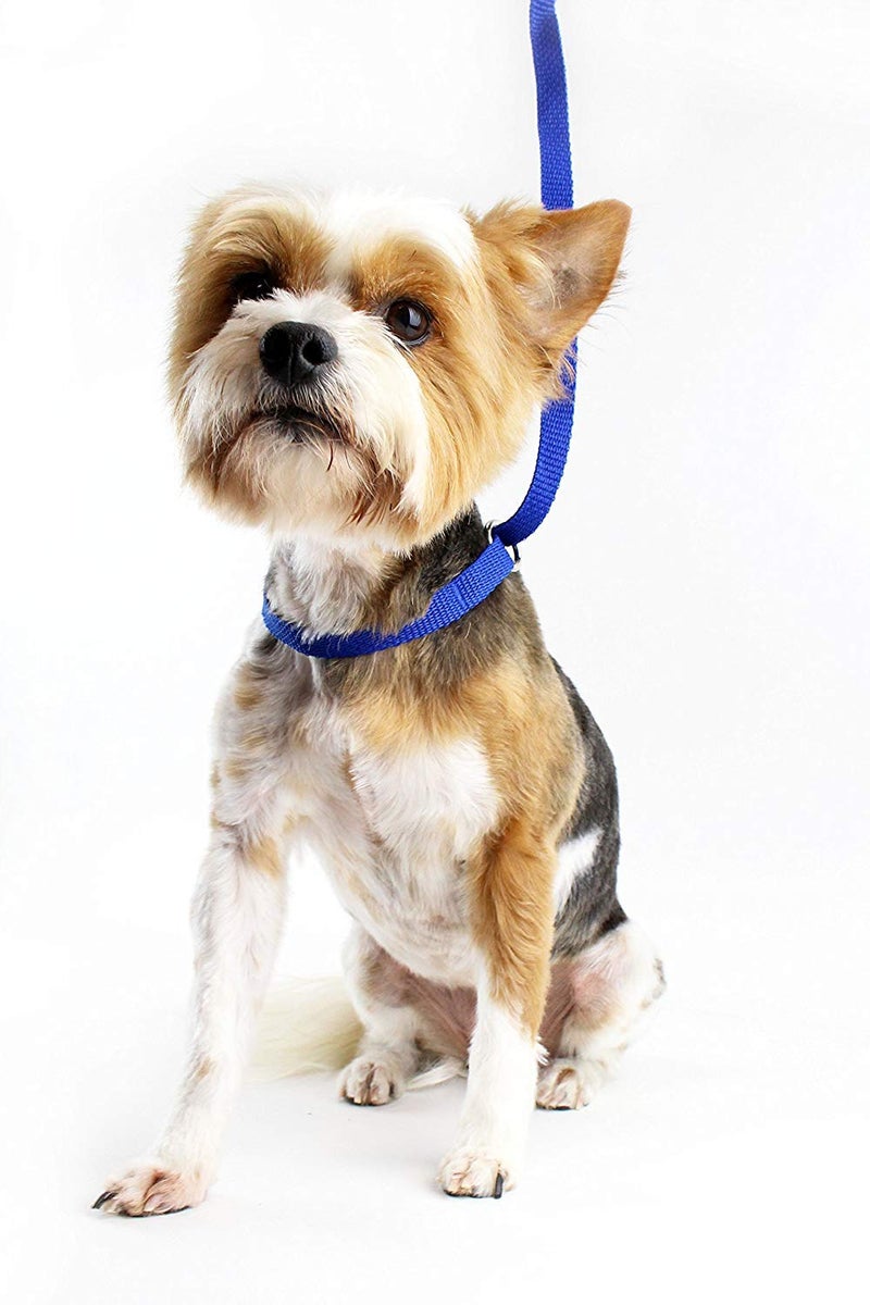 Midlee 4 Foot Dog Kennel Slip Lead Heavy Duty Nylon Pack of 10 - Image 4